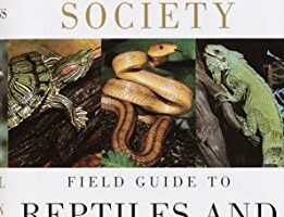 FIELD GUIDE TO NORTH AMERICAN REPTILES & APHIBIANS